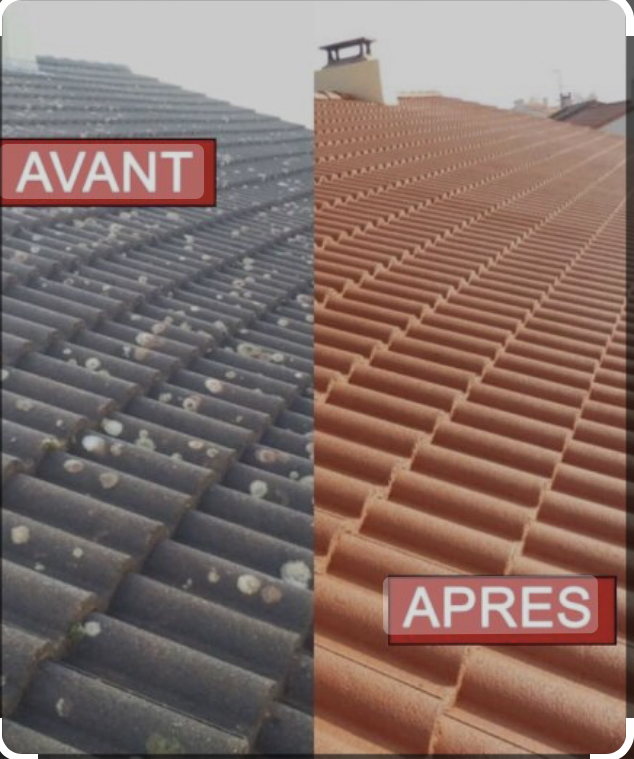 Nettoyage de toiture - réalisation